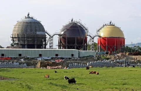 Environment Vs Development 库存照片