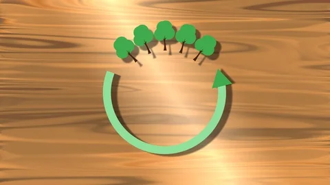 Environmental and conservation responsibilty, forests, recycling and ecology Stock Footage 117901776