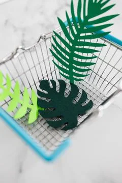 Environmental awareness and consumer behaviour concept, metaphor of shopping  Stock Photos