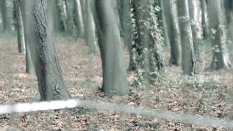 Environmental awareness. Prison concept. Video stock 73480146