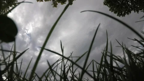 Environmental background, bottom view of grass and cloudy sky, time-lapse Stock Footage 107992447
