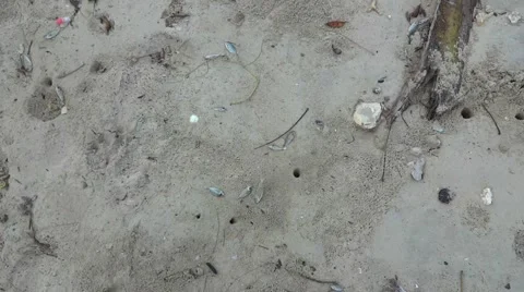 Environmental beach pollution 스톡 동영상 48570016