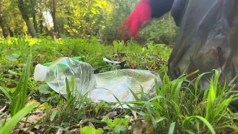 Environmental cleanup activity in forest by volunteer Stock Footage 329319916