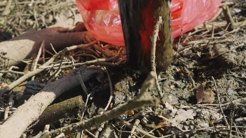 Environmental Cleanup And Pollution Control, climate change, waste management Vidéo 335762273