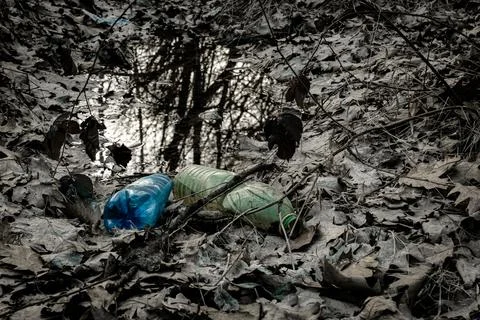 Environmental concept. Forest with trash, plastic rubbish. garbage waste in e Stock Photos