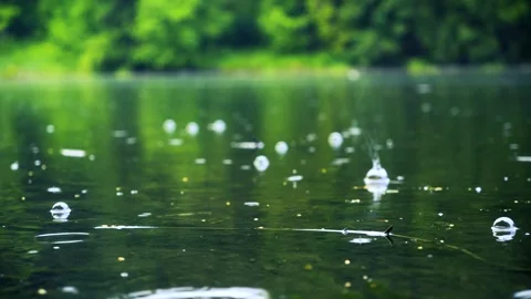 Environmental conservation and climate change concept, raindrops falling Stock Footage 336732543
