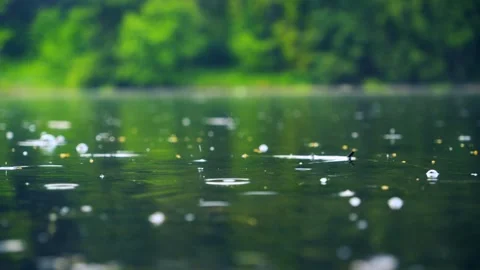 Environmental conservation and climate change concept Stock Footage 336732682