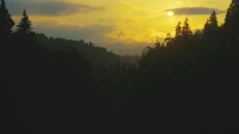 Environmental conservation and climate change concept Stock Footage 337239426