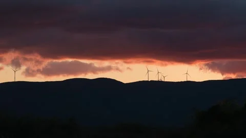 Environmental conservation concept video Stock Footage 292492000