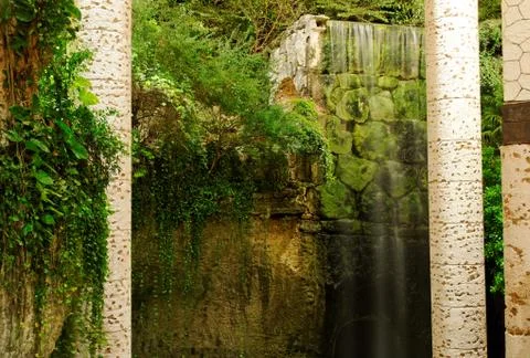 Environmental conservation Stock Photos
