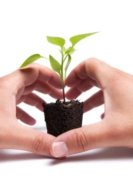 Environmental conservation Stock Photos