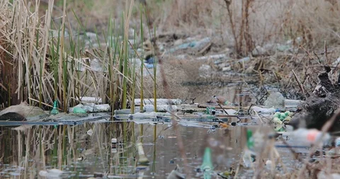 Environmental contamination. Pollution by plastic bottles in the water Stock Footage 108749240