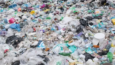 An environmental crisis has polluted the sandy coastline along the coast of the Stock Footage 250169079