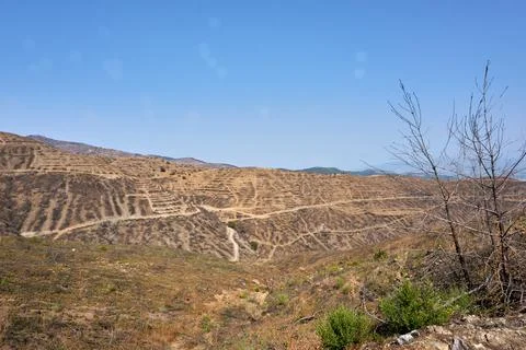 Environmental damage after forest fire Stock Photos