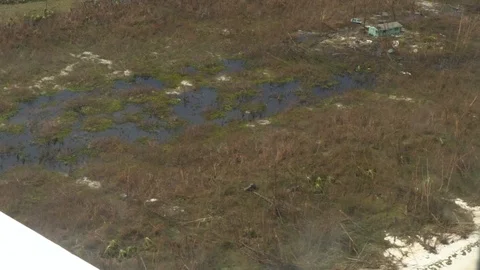 Environmental Damage after Hurricane (co) Stock Footage 116680762
