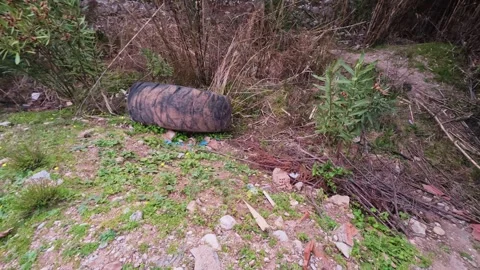 Environmental Damage from a Dumped Tire in the Wild Stock Footage 305234368