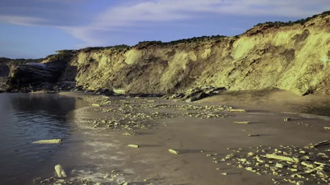 Environmental damage following storm with scattered trash and flattened greenery Stock Footage 342428013