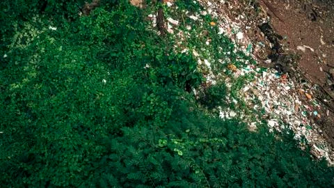 Environmental damage of garbage in the nature. garbage and smog in forest . G Stock Photos