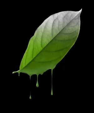 Environmental damage Stock Illustration