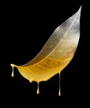 Environmental damage Stock Photos