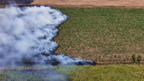 Environmental Damage From Spreading Wildfire Stock Footage 307082444