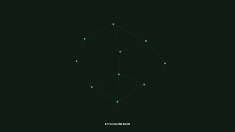 Environmental-data-constellation-loop-4k Stock Footage 344394654
