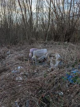 Environmental Destruction: Illegal Waste Dump in Forest Stock Photos
