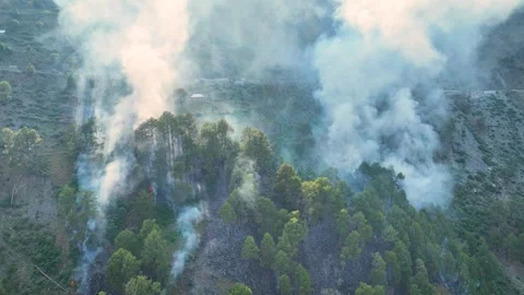 Environmental disaster aerial of wildfire spreading in Himalayan hills. Stock Footage 337614818