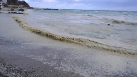 Environmental disaster in the Black Sea: vegetable oil spill into the marin.. Stock Footage 339933365