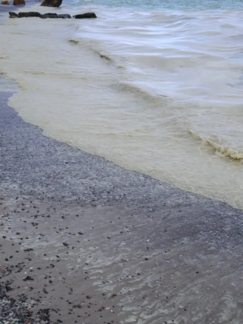 Environmental disaster in the Black Sea: vegetable oil spill into the marin.. Stock Footage 339933478