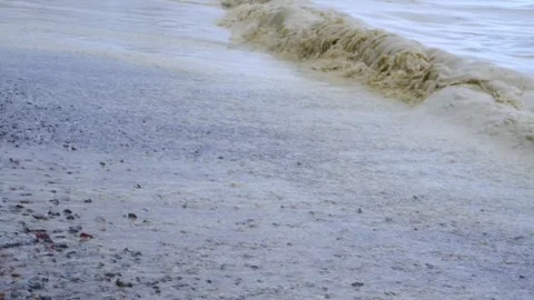 Environmental disaster in the Black Sea: vegetable oil spill into the marin.. Stock Footage 339933531