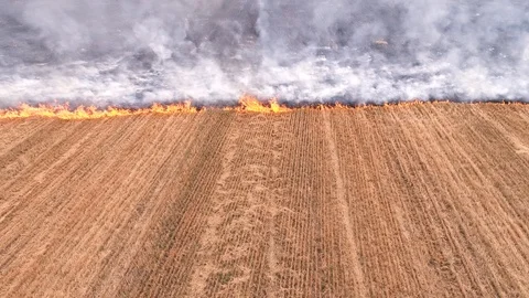 Environmental disaster burning rural field fire Stock Footage 114577889