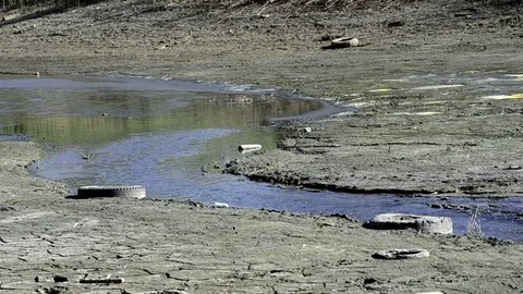 Environmental disaster of the drought of the river Stock Footage 75581907