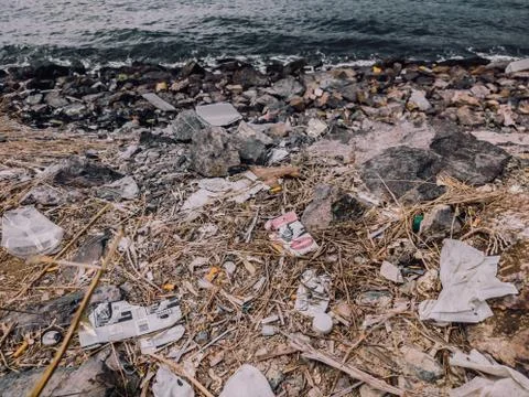 Environmental disaster, ecological pollution, garbage scattered on the ground Stock Photos