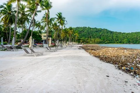 Environmental disaster. Garbage dump on a beach Stock Photos