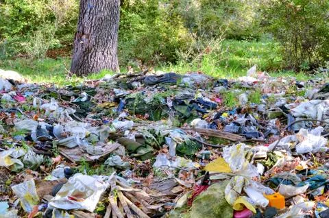 Environmental disaster Foto stock