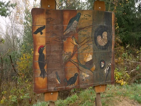 Environmental education signboard in forest Stock-Footage 82563126