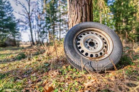 Environmental elapse in a forest, a left behind tire in pure nature. Stock Photos