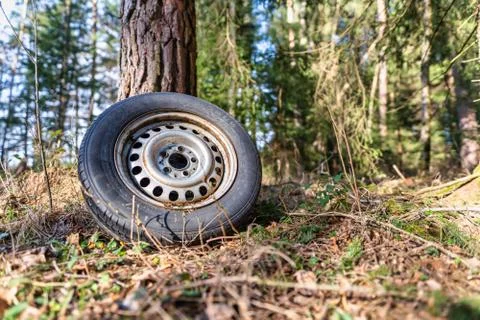 Environmental elapse in a forest, a left behind tire in pure nature. Stock Photos