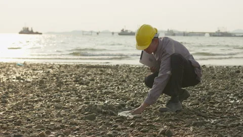 Environmental engineer inspects water and rock samples on a shoreline Stock Footage 335699585