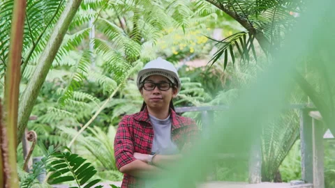 Environmental engineer stands with arms crossed in the fern forest. Stock Footage 172392024