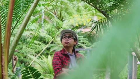 Environmental engineer stands with arms crossed in the fern forest. Видео 172392164