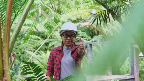 Environmental engineer stands with thumbs-up gesture in the fern forest. Stock Footage 172391911