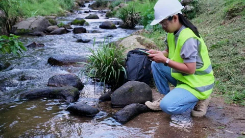 Environmental engineer uses smartphone to inspect water quality at natural water 動画素材 172389193