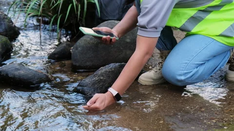 Environmental engineer uses smartphone to inspect water quality at natural water Видео 172389259