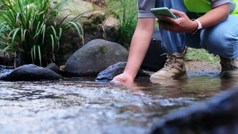 Environmental engineer uses smartphone to inspect water quality at natural water Stock Footage 172390084