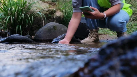 Environmental engineer uses smartphone to inspect water quality at natural water Видео 172390134