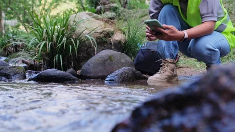 Environmental engineer uses smartphone to inspect water quality at natural water Видео 172390282