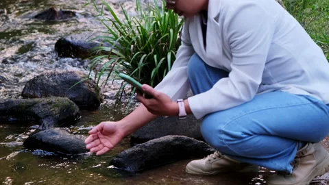 Environmental engineer uses smartphone to inspect water quality at natural water Видео 172391052