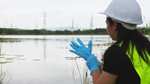 Environmental engineers analyze water quality and creature from natural source. Stock Footage 276954010